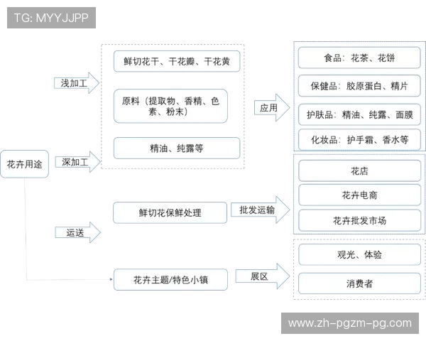 广东本地健身器材公司名录与产业聚集分析